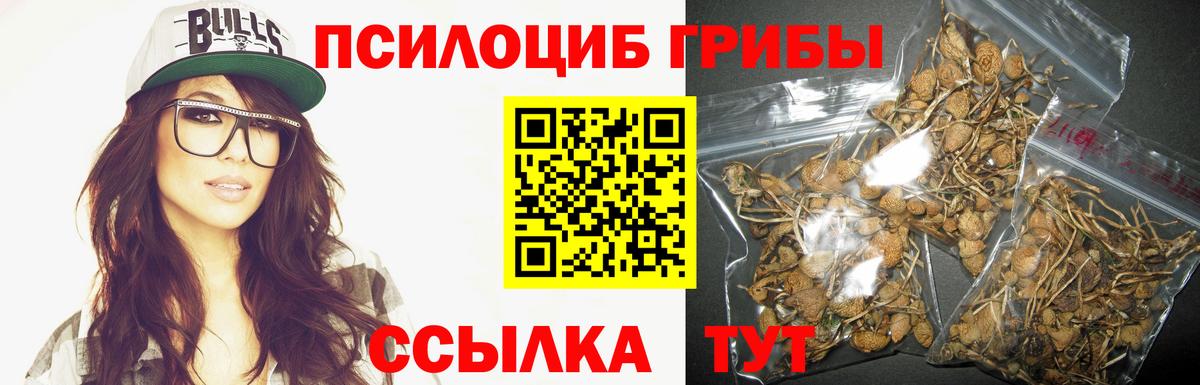 Псилоцибиновые грибы Magic Shrooms  Вход с VPN  Мценск 